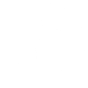 National Black Lawyers- white