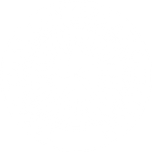 Texas Trial Lawyers- White